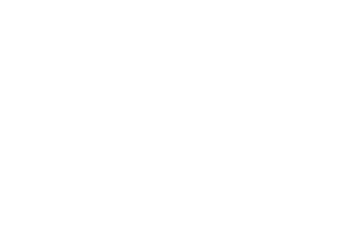 Novety Logo